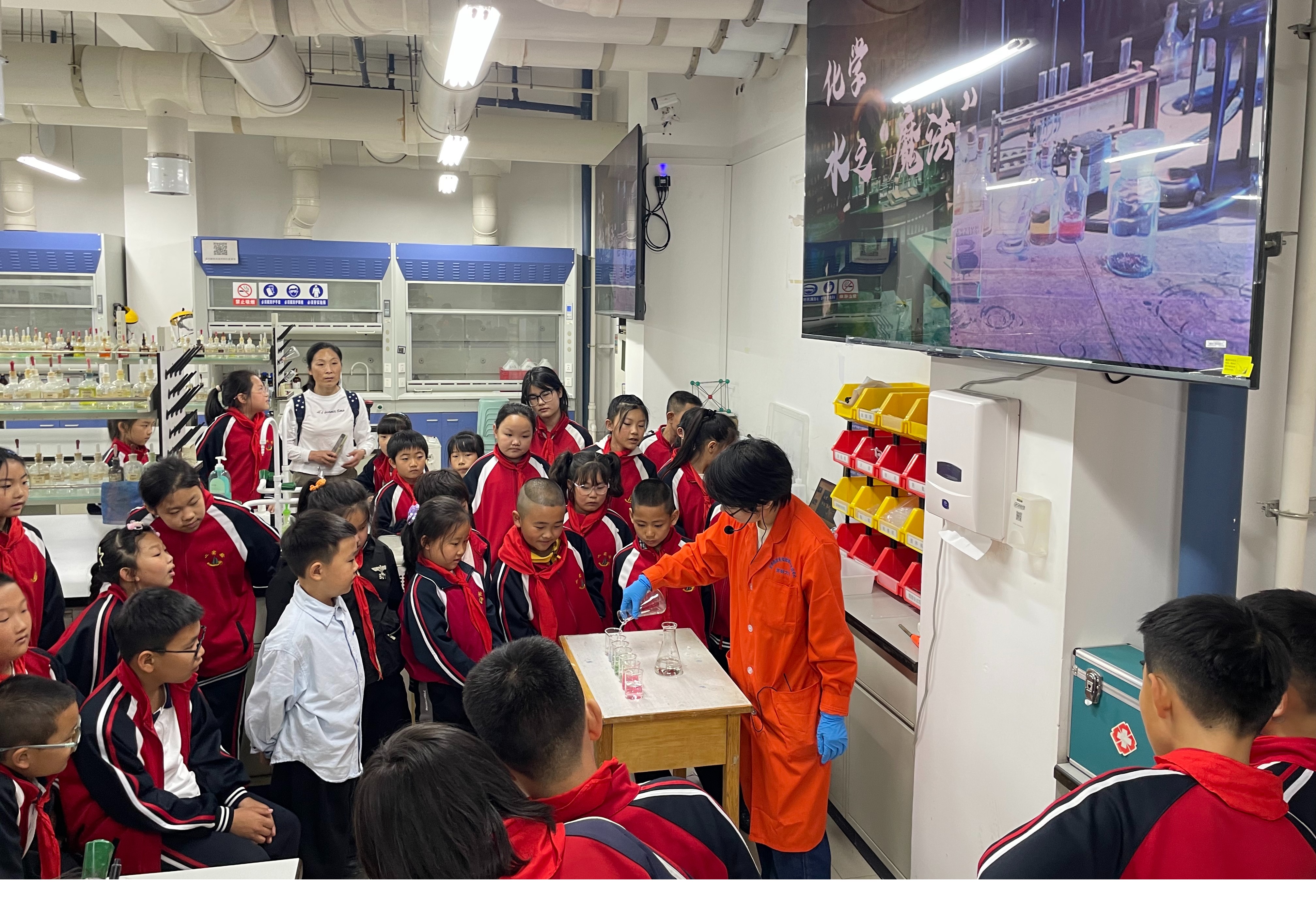 欧洲杯
开展科普研学活动，激发少年科学梦想